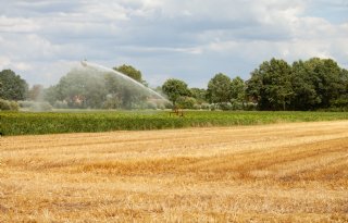 Onttrekkingsverboden voor grondwater in Twente, Achterhoek en rand Veluwe
