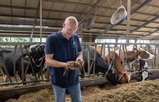 Grasland heeft onderhoud nodig voor hoge opbrengst en kwaliteit