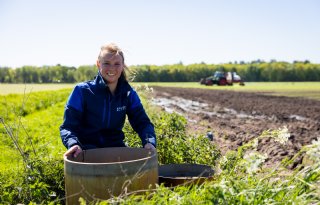 Droogte bestrijden met regelbare drainage