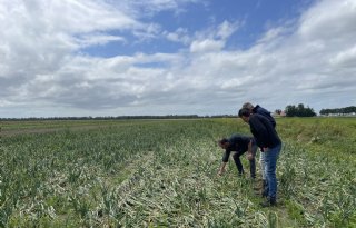 No Shit Boerderij Zonnegoed in de Noordoostpolder is geen doorsnee akkerbouwbedrijf.