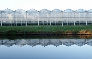 Watertekort in Delfland: nog geen snelle oplossing voor glastuinders