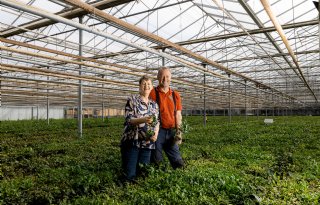 Van tomatencrisis naar multifunctioneel glastuinbouwbedrijf