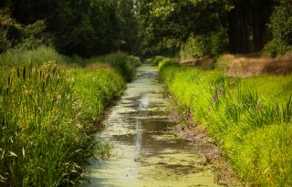 Ondanks regen worden droogtemaatregelen lokaal nog uitgebreid