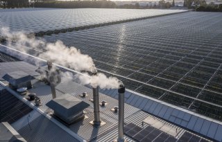 Extra CO2-capaciteit voor glastuinbouw komt vanaf 2027 beschikbaar