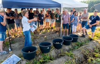 Aardappeldemo’s bieden telers nieuwe inzichten