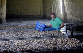 ‘In de grotten ben ik alleen en in totale stilte aan het werk’