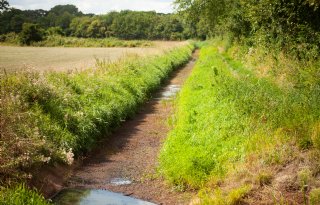 Droogte neemt iets af, maar herstel watersysteem duurt nog maanden