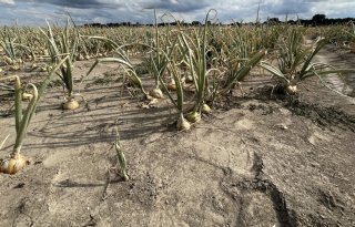 Zeeland test grootschalige ondergrondse opslag van zoet water