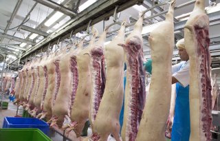 Productieherstel in China beïnvloedt internationale varkenshandel