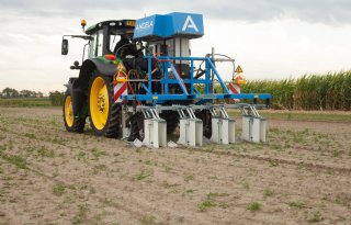Electro Weeder laat ook wortelonkruid snel verslappen