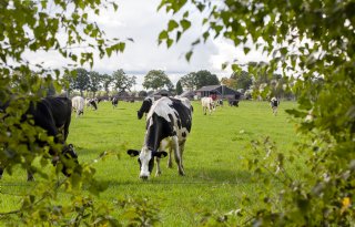Overijssel waarschuwt voor uitvoeringsproblemen landelijke stikstofaanpak
