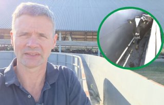 Oekraïne-vlogger Kees Huizinga: ‘Koeien naar de slacht via looproute Temple Grandin’