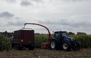 Ook zonder beregeningsbeurt ‘nog een redelijk kolfje’