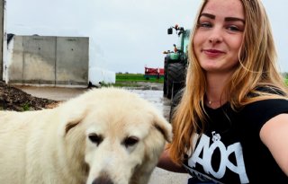 Marleen in Canada: ‘Ik ga jullie meenemen op dit avontuur’