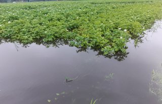 Zoet water krijgt dubbele impuls in Zeeland
