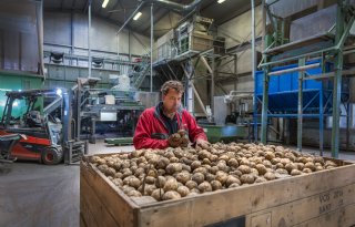 ‘AI gaat de akkerbouw helpen om grote stappen te maken’