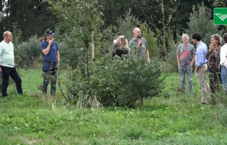 Grote pilot over nut en noodzaak agroforestry in de praktijk