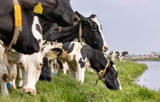 Groningen blaast debat over dreigende onteigening landbouwgrond af