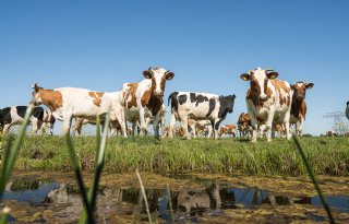 ‘Beleid moet ook gewoon werken’