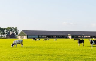 Bedrijfsverplaatsing: een strategische keuze voor melkveehouders in Natura 2000-zones