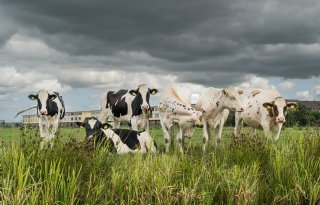 Landbouw blijft achter bij klimaatdoelen, ook andere sectoren niet op koers