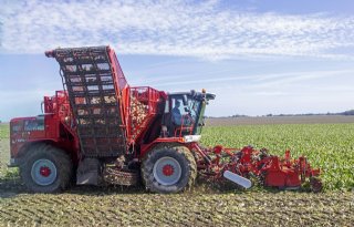 Opbrengst valt mee bij start bietenoogst