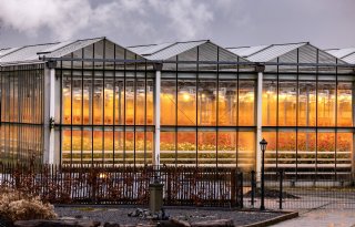 Zorg glastuinbouw over energiebeleid en verhoging btw