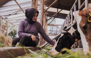 FrieslandCampina versterkt positie in Azië via deal met drankenfabrikant Ultrajaya