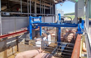 Vier gouden EuroTier-innovaties zetten in op slimmer werken in de stal