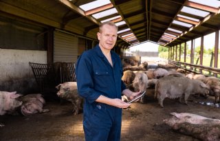 ‘Varkens houden kan ook in de toekomst rendement opleveren’