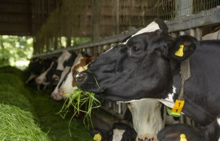 FrieslandCampina en CRV lanceren Ruw Eiwit Monitor