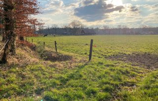 Groen licht Gelderse stikstofaanpak: verbod op nieuwvestiging in zones gaat in