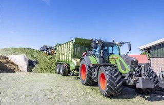 Standaardwaarden ruwvoer schieten tekort