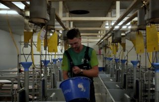 Jonge varkenshouder kijkt vol vertrouwen naar de toekomst