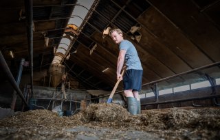 Twentse melkveehouder zit klem tussen schaalgrootte en ambitie