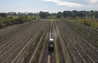 Nieuwe dwarsstroomspuit voor boomkwekers extra hoog en smal