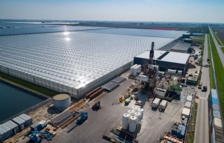 Lokale overheid steunt glastuinbouw in de Noordoostpolder