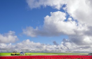 Mest kleiner en regenwater ondergronds: Waddenfonds investeert in innovaties