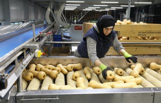 Flespompoen voelt zich steeds beter thuis in Nederland
