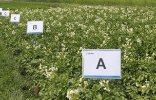 Corteva stopt met verkoop zaaizaden