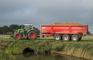 Uienmarkt sluit oogst af met goede prijzen en vlotte afzet