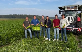 Van idee naar businesscase: HAS-studenten onderzoeken markt voor bleekselderijsticks