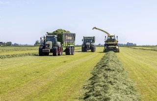 Grasrantsoen past dit jaar niet op een bierviltje