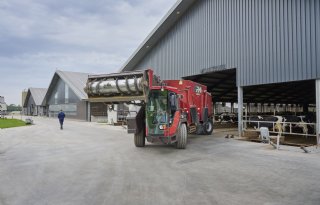 ‘Gezonde koeien en hoge productie gaan voor de laatste cent op voer’