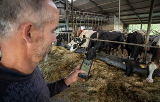 Melkveehouder laat voordelen zien van draadloos weiden