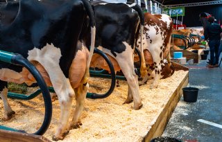 Symposium RMV Hardenberg: gezondere melk als nieuw verdienmodel