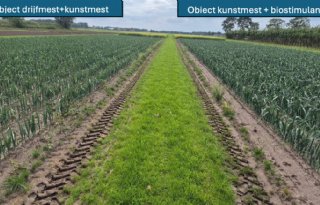 Bemestingsdemo in prei levert opbrengstverschil op van 7 ton