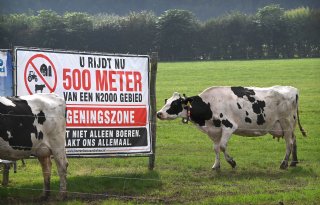 Niet afstand, maar natuur gaat stikstofmaatregelen voor boeren bepalen