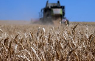 Russische tarwe-export op laagste niveau in vijf jaar