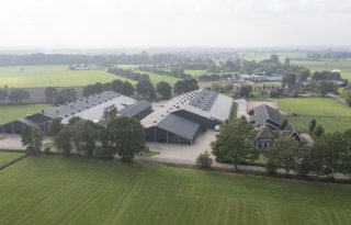 Hoe droger het strooisel, hoe lager de uitstoot uit pluimveestal